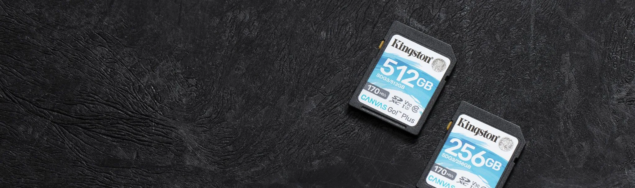 Kingston 128GB SDXC Memory Card Canvas Go Plus 170MB/s UHS-I C10 U3 V30