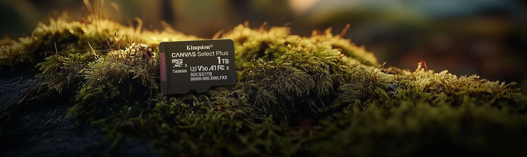 Kingston SDCS3/128GB Memory Card MicroSD Canvas Select Plus 150MB/s A1 Class 10 UHS-I + Adaptor