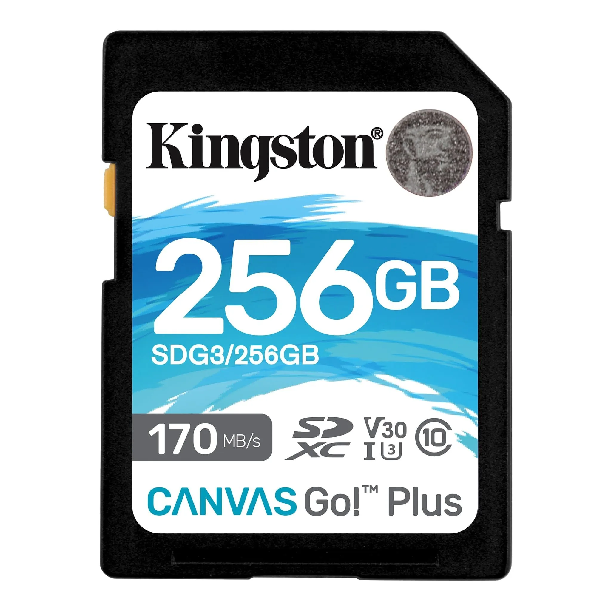 Kingston 256GB SDXC Memory Card Canvas Go Plus 170MB/s UHS-I C10 U3 V30