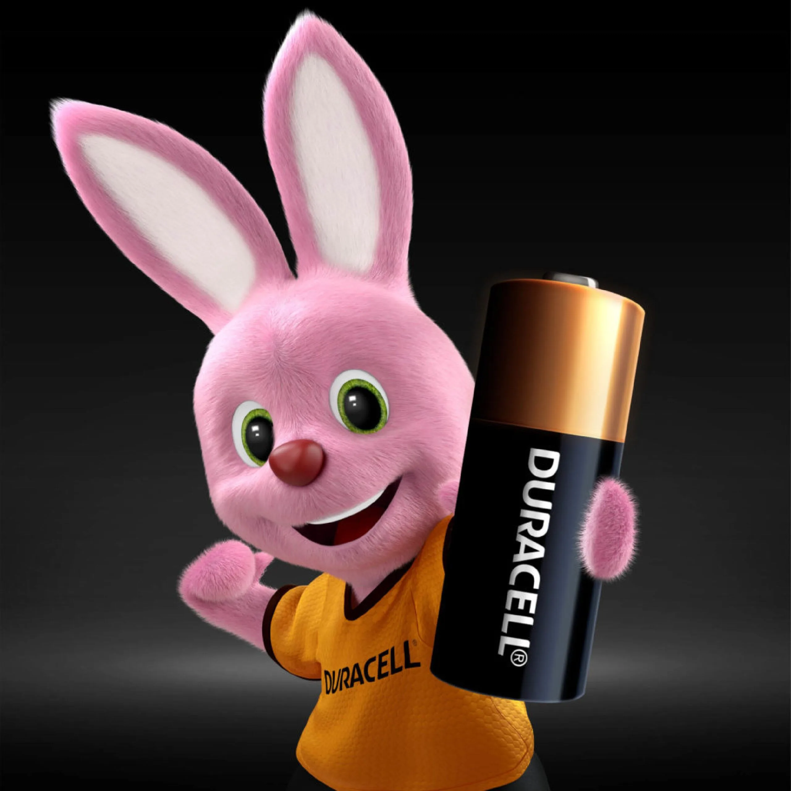 بطاريات DURACELL قلوية حجم AA (LR6) بجهد 1.5 فولت - عبوة قطعتين